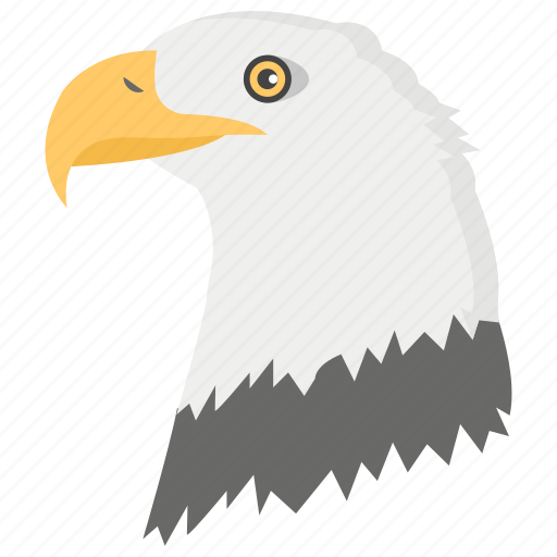 Bird of jovet, eagle, eagle head, falcon, flying bird icon - Download on Iconfinder