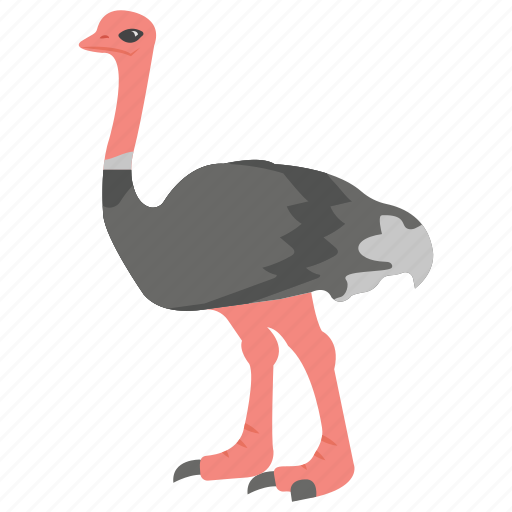Avestruz, beak animal, bird, flightless bird, ostrich, zoo icon - Download on Iconfinder
