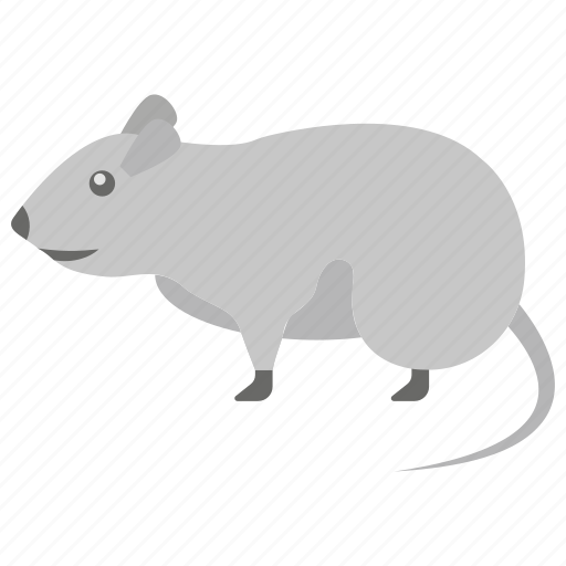 Mice, mooch, mouse, rat, rodent icon - Download on Iconfinder