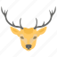 bucks, deer, fauna, wild animal, wildlife 