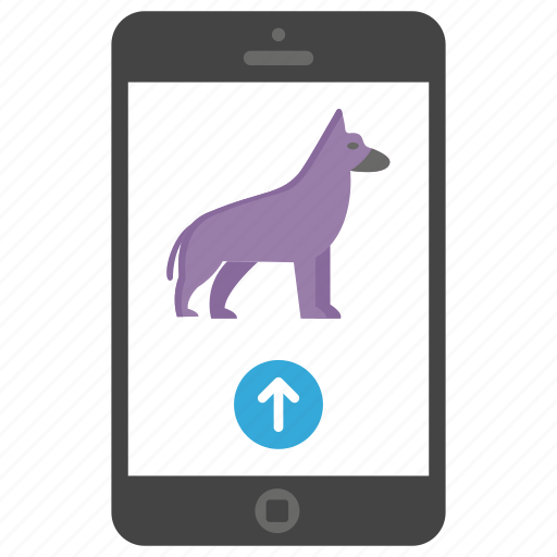 Online pet searching, pet appliance, pet application, pet care, pet’s app icon - Download on Iconfinder