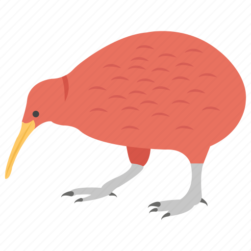 Apteryx, flightless bird, kiwi, long beak bird, pet icon - Download on Iconfinder
