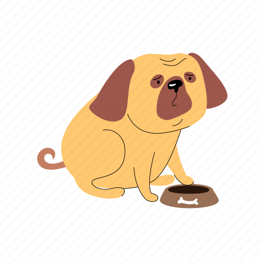 Dog, hungry, pug, empty, bowl illustration - Download on Iconfinder
