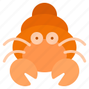 hermit, crab, aquarium, animal, sea, animals, aquatic, shrimp, shell