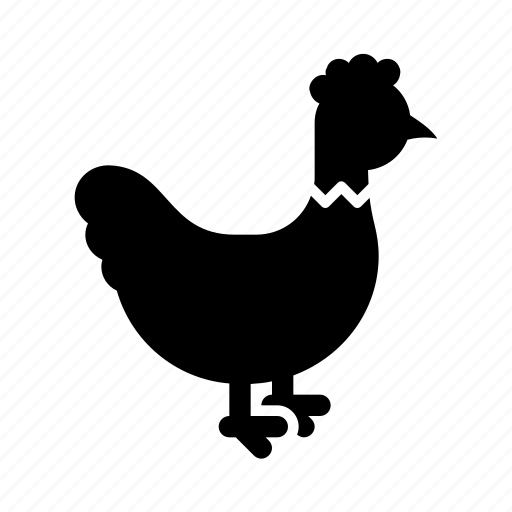 Animal, chicken, domestic, domestic pet, hen, zoo icon - Download on Iconfinder