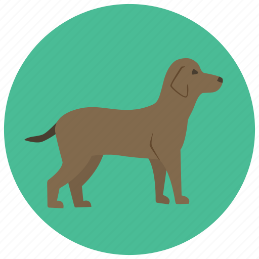 Animal, dog, doggy, pet, pets, puppy icon - Download on Iconfinder