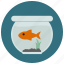 aquarium, fish, fish tank, goldfish, pet, pets 