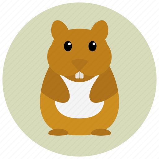 Animal, hamster, pet, pets, rodent icon - Download on Iconfinder