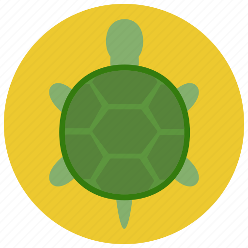 Animal, pet, pets, turtle icon - Download on Iconfinder