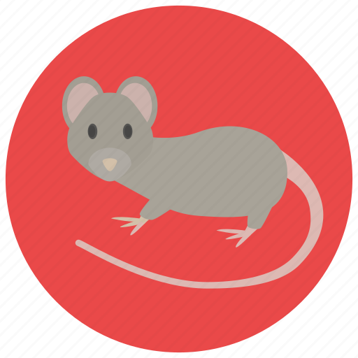 Animal, mouse, pet, pets, rat, rodent icon - Download on Iconfinder
