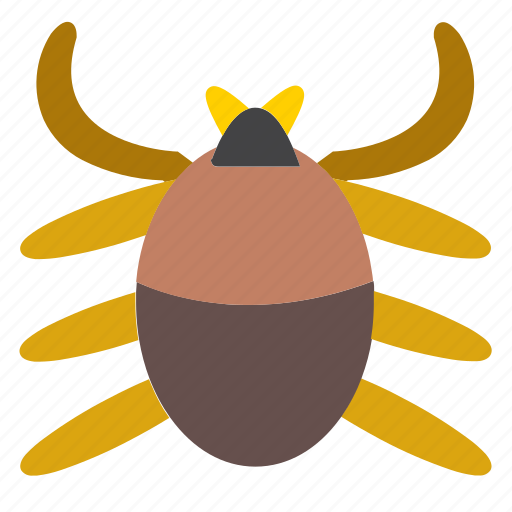 Animal, arachnid, bug, entomology, insect, pet, spider icon - Download on Iconfinder