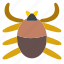 animal, arachnid, bug, entomology, insect, pet, spider 