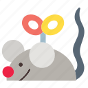animal, mouse, pet, play, rat, toy