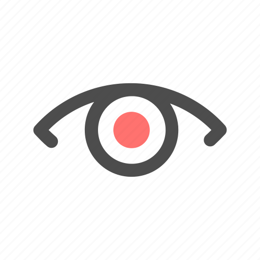 Eye, sight, view, visible, vision, watch icon - Download on Iconfinder
