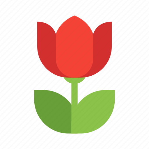 Close, up, flower, photo, poppy icon - Download on Iconfinder