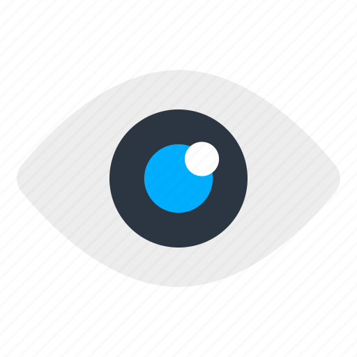 Eye, vision, optics, camera eye, optometry icon - Download on Iconfinder