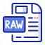 raw file, format, extension, document 