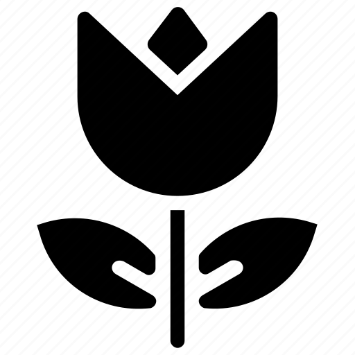 Macro, flower, photo, tulip, focus icon - Download on Iconfinder