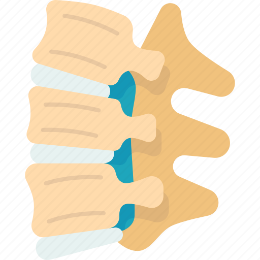 Spinal, column, backbone, diagnosis, anatomy icon - Download on Iconfinder