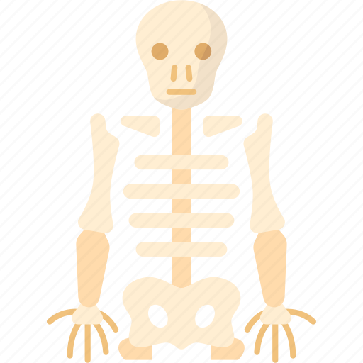 Skeleton, anatomy, bone, body, human icon - Download on Iconfinder