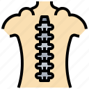 anatomy, backbone, column, healthcare, medical, spinal, spine