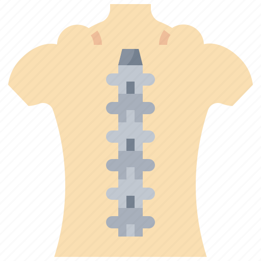 Anatomy, backbone, column, healthcare, medical, spinal, spine icon - Download on Iconfinder