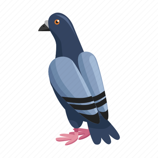 Animal, bird, dove, nature, wild, zoo icon - Download on Iconfinder