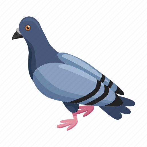 Animal, bird, dove, nature, wild, zoo icon - Download on Iconfinder