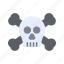 pirate skull ii, halloween, scary, ghost, spooky, skeleton, death, danger 