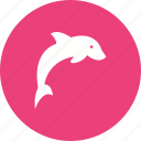 animal, dolphin, fish, mammal, marine, nature, ocean