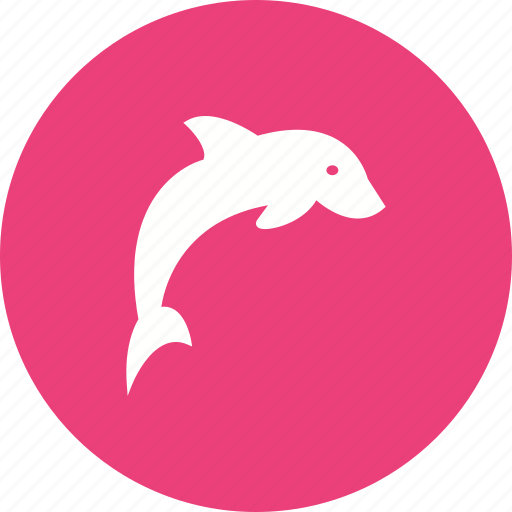Animal, dolphin, fish, mammal, marine, nature, ocean icon - Download on Iconfinder