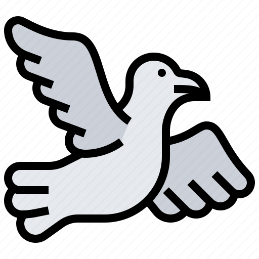 Bird, dove, freedom, ornithology, seagull icon - Download on Iconfinder