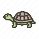 tortoise, animal, ocean, shell, terrapin, reptile