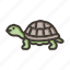 tortoise, animal, ocean, shell, terrapin, reptile 