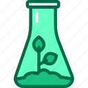 growing, plant, in, vitro