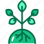 plant, growth, agriculture 