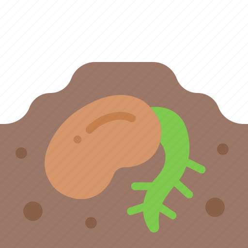 Bean, sprout, seedling, growth, gardening, crop, soil icon - Download on Iconfinder