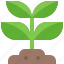 plant, growth, sapling, sprout, soil, gardening, nature 