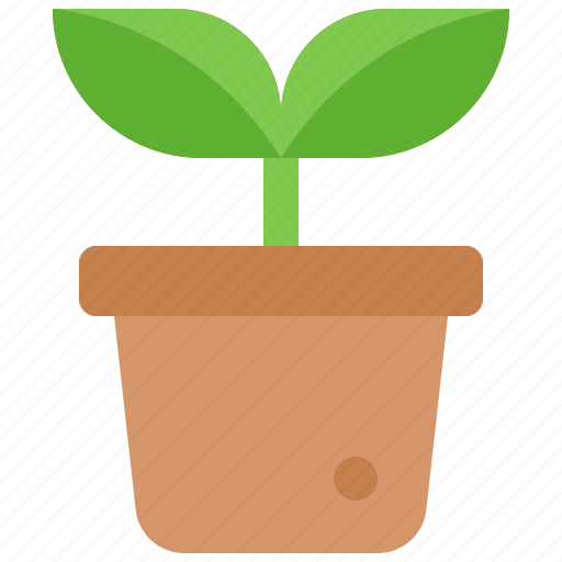Plant, pot, potted, houseplant, decoration, growth, nature icon - Download on Iconfinder