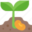 seedling, sprout, seed, plant, sapling, gardening, soil 
