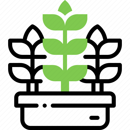 Potted, plant, pot, growth, decoration, houseplant, nature icon - Download on Iconfinder