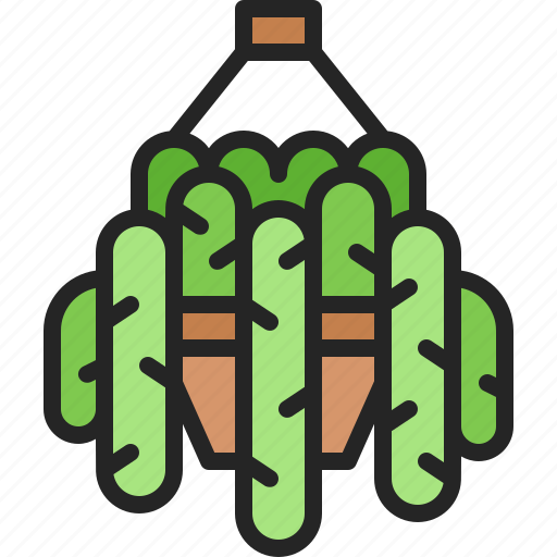 Hanging, plant, pot, decoration, houseplant, growth, nature icon - Download on Iconfinder