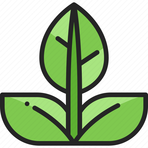 Leaf, nature, eco, plant, foliage, green, leaves icon - Download on Iconfinder