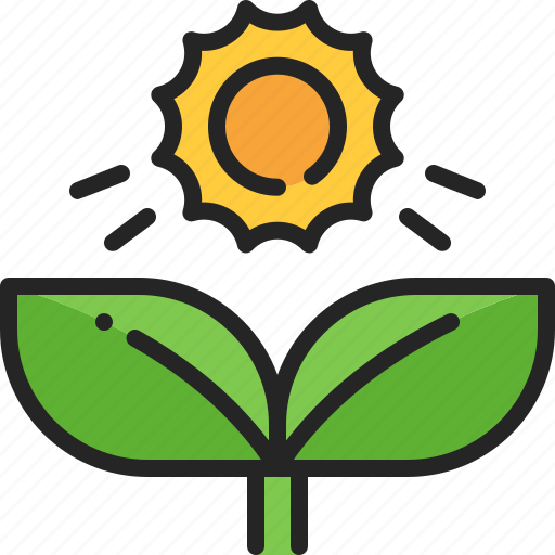 Photosynthesis, sunshine, sun, plant, sapling, nature, growth icon - Download on Iconfinder