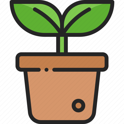 Plant, pot, potted, houseplant, decoration, growth, nature icon - Download on Iconfinder
