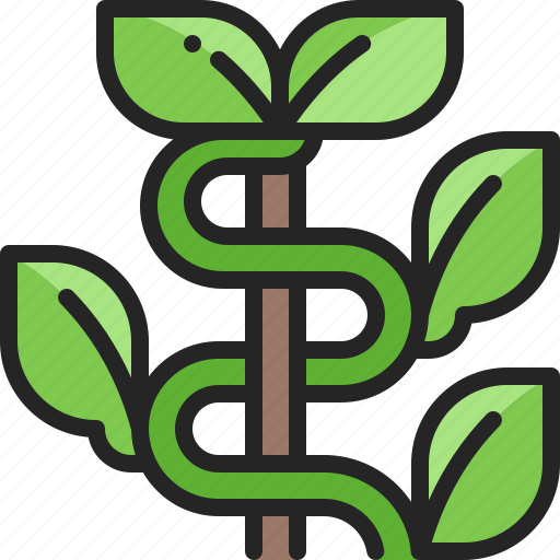 Vine, plant, climber, gardening, farming, vegetable, nature icon - Download on Iconfinder