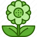 flower, pot, gardening, spring, growth, blossom, plant
