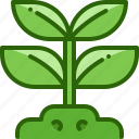 plant, growth, sapling, sprout, soil, gardening, nature