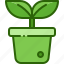 plant, pot, potted, houseplant, decoration, growth, nature 