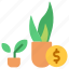 plant, pot, indoor, agriculture, gardening, farming, price, dollar 